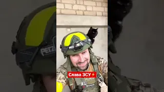 🔥Котики ЗСУ⚡️#ukrainewar