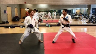 Tae Kwon Do vs. Shotokan (Round 2)