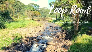 【ハワイ・カウアイ島】 ワイルアの清流 ループ・ロード Loop Road in Wailua #hawaii #kauai