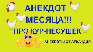 АНЕКДОТ МЕСЯЦА!!!! Смотр кур-несушек.