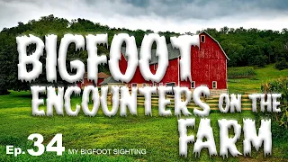 My Bigfoot Sighting Episode 34 - Bigfoot Encounters on the Farm