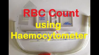 Total RBC Count Practical Lab