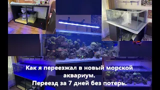 Как я переезжал в новый морской аквариум. 7 дней без потерь.