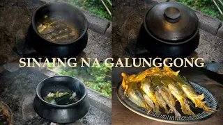 A TASTE OF LIFE IN THE COUNTRYSIDE COOKING SINAING NA GALUNGGONG