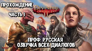 Прохождение 1: Divinity: Original Sin 2 - Проф. Русская Озвучка Всех Диалогов