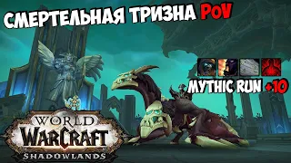 Mythic Run +10 | Смертельная тризна/The Necrotic Wake PoV | WoW ShadowLands