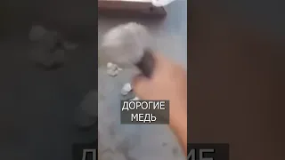 Аргентинцы выковыривают металл из МОНЕТ