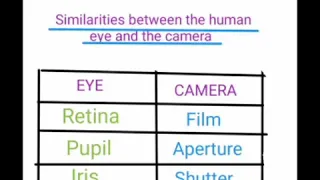 #Physics  The human eye and the camera