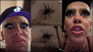 Doja Cat found a Spider in her house - TikTok Live (Aug 19, 2022)