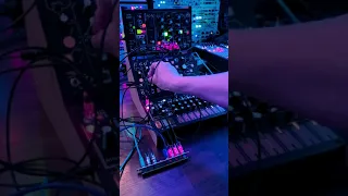 MakeNoise Strega first patch