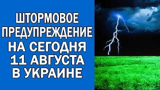 ПОГОДА НА 11 АВГУСТА : ПОГОДА НА СЕГОДНЯ