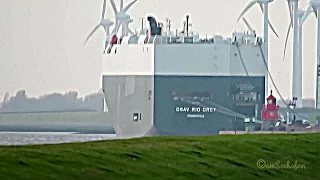 car carrier CSAV RIO GREY A8UC7 IMO 9494905 Emden RoRo cargo seaship Emden Autotransporter