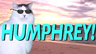HAPPY BIRTHDAY HUMPHREY! - EPIC CAT Happy Birthday Song