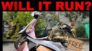 FREE!! 1987 Honda Elite 50 Scooter - Will It Run? Can It Be Saved?!?!