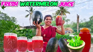 Watermelon Juice 🍉 | तरबूज का जूस🥤| Healthy Summer Drink At Home |