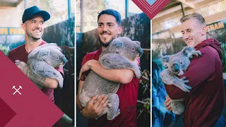 "That's A Little Rat" 😅 🐀 | Hammers Visit Caversham Wildlife Park | Pre-Season Tour 2023/24