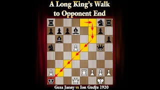 A Long King's Walk to Opponent End | Geza Janny vs Ion Gudju 1920