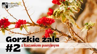 Kazanie pasyjne - Gorzkie Żale, Sanktuarium św. Jana Pawła II w Krośnie