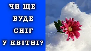 ЧИ БУДЕ ЩЕ СНІГ У КВІТНІ? Прогноз погоди в Україні