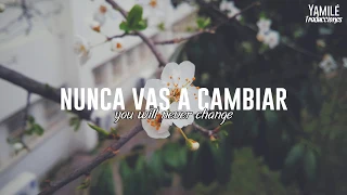 Tyler Joseph || Never Change (Sub. Español e Inglés)