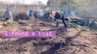 Finally Clearing Ground! Allotment Vlog Ep. 3 🌱