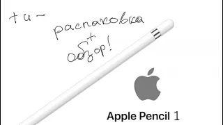 Обзор Apple pencil 1. Обзор и распаковка🗃️