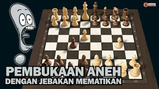 TRIK PEMBUKAAN ANEH DENGAN JEBAKAN MEMATIKAN!!!