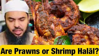 Are Prawns or Shrimp Halal?