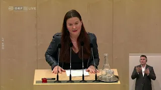 Nationalratssitzung vom 28.03.2019 - Karin Doppelbauer - Agrarmärkte