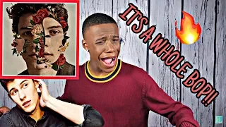 SHAWN MENDES - THE ALBUM REACTION / REVIEW