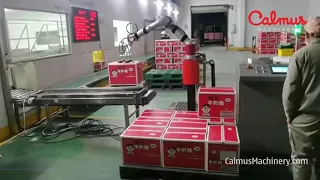 Collaborative Robotic Palletizer - Small-Footprint Palletizing Robot