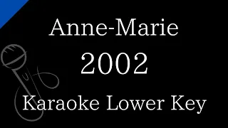 【Karaoke Instrumental】2002 / Anne-Marie【Lower Key】