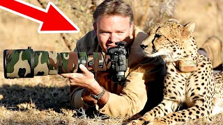 wild animals surprise photographer | wildlife Animals Surprised Photographers