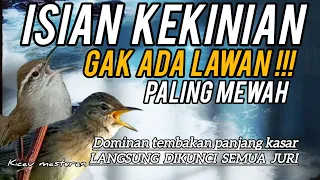 MASTERAN BURUNG TERBAIK‼️GAK ADA LAWAN TEMBAKAN KASAR PANJANG Part 125