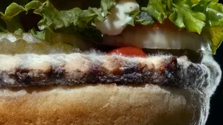 Burger King features moldy Whopper in new ad