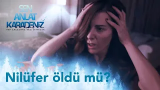 Nilüfer yaşıyor mu? - Sen Anlat Karadeniz 60. Bölüm