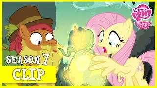 Fluttershy Retrieves Meadowbrook's Mask (Shadow Play) | MLP: FiM [HD]