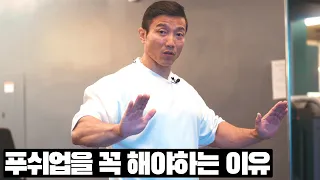 내가 지금도 푸쉬업을 하고 추천하는 이유