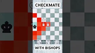 CHECKMATE WITH BISHOPS