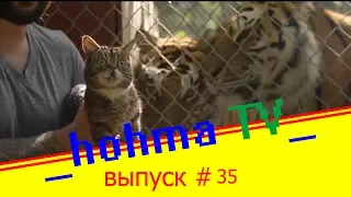 ЛУЧШИЕ ПРИКОЛЫ 2017 ИЮНЬ | Лучшая Подборка Приколов --hohma TV-- #35
