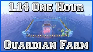 One Hour Guardian Farm | Tutorial