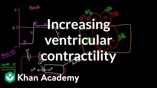 Increasing ventricular contractility - inotropic effect | NCLEX-RN | Khan Academy