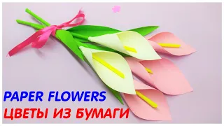 Цветы из бумаги КАЛЛЫ ЛИЛИИ Подарок своими руками | DIY How to make calla lily paper flower Origami