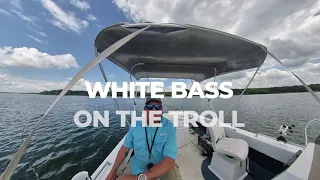 Trolling for Tawakoni White Bass