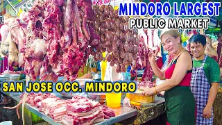 SAN JOSE PUBLIC MARKET | A Walking Tour through the Commercial Hub of OCCIDENTAL MINDORO |