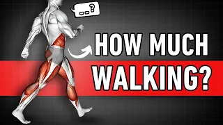 How Long Should You Walk A Day To Lose BELLY FAT