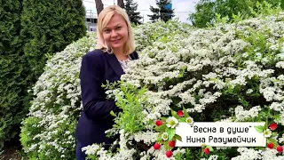 Премьера песни  "Весна в душе" ,автор музыки и слов Нина Разумейчик