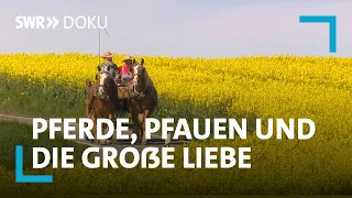 Pferde, Pfauen und die große Liebe - Eine Bauerngeschichte in Oberschwaben | SWR Doku