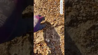 Best modern uk to find out beach metal detecting