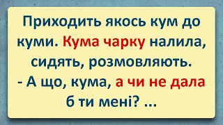 💠 Як Кум Куму Вдмухав! Добірка Анекдотів Українською! Епізод #32